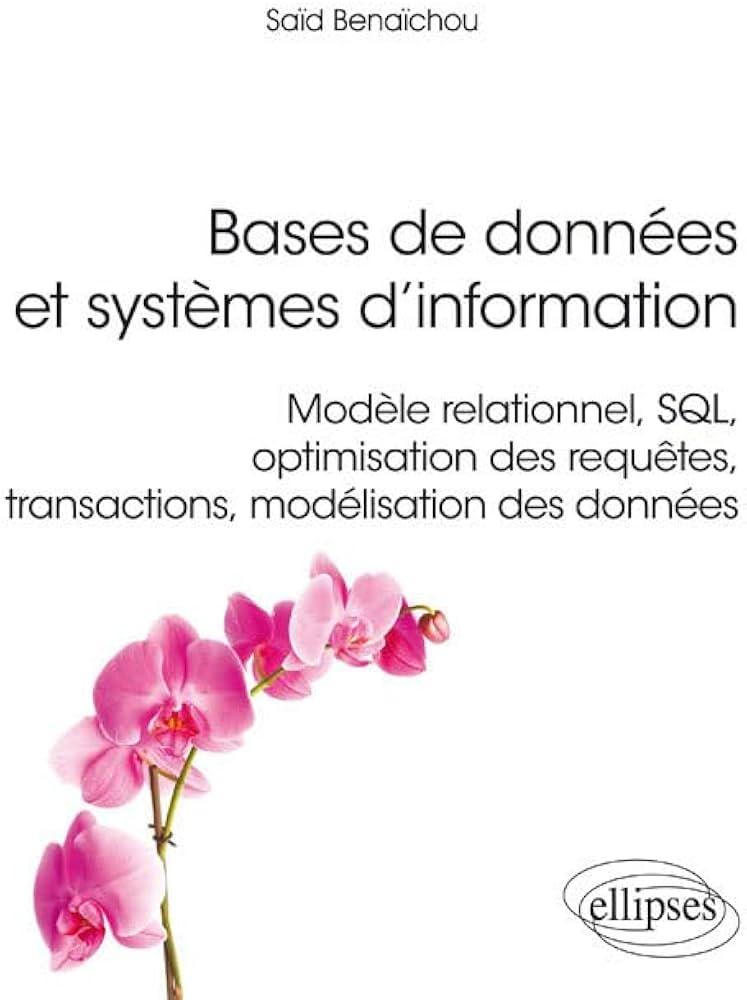 optimisation bases ‍de données